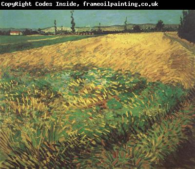 Vincent Van Gogh Wheat Field with the Alpilles Foothills in the Background (nn04)